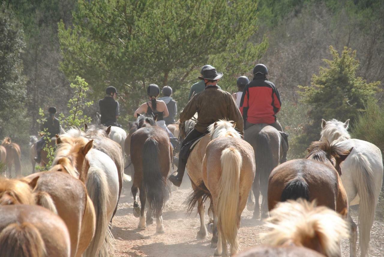 La Rabasse de Gallinette Aups Esterno foto