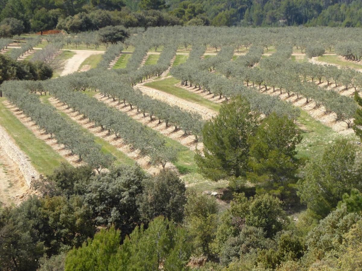 La Rabasse de Gallinette Aups Esterno foto