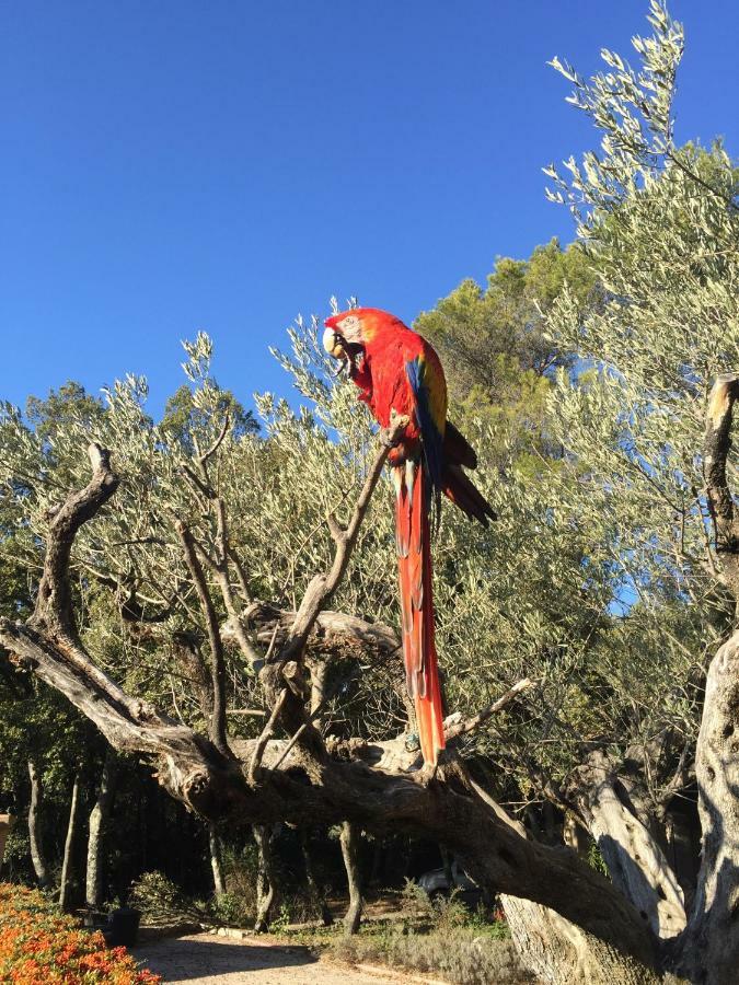 La Rabasse de Gallinette Aups Esterno foto